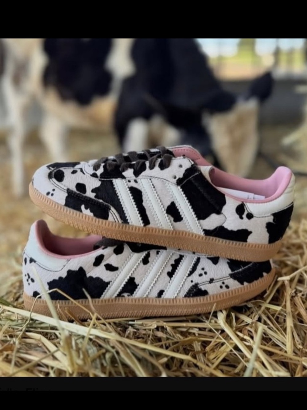 ADIDAS SAMBA OG Cow Print size 8 Women Sneaker Animal Print Style Gum Sole NWT